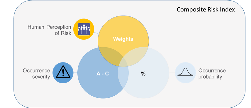 Composite Risk Index components.